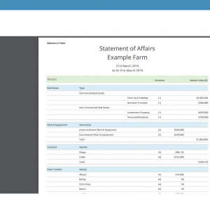 Statement of Affairs   Active Ag